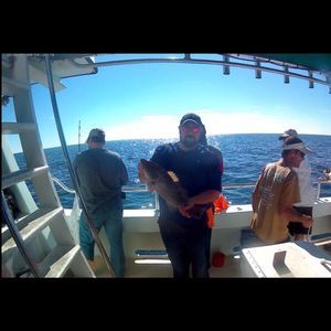 Meet your Posher, Thomas